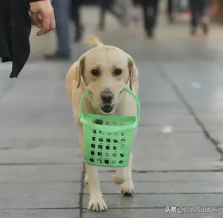 昆明人正宗吗,一句话来证明你是哪的人