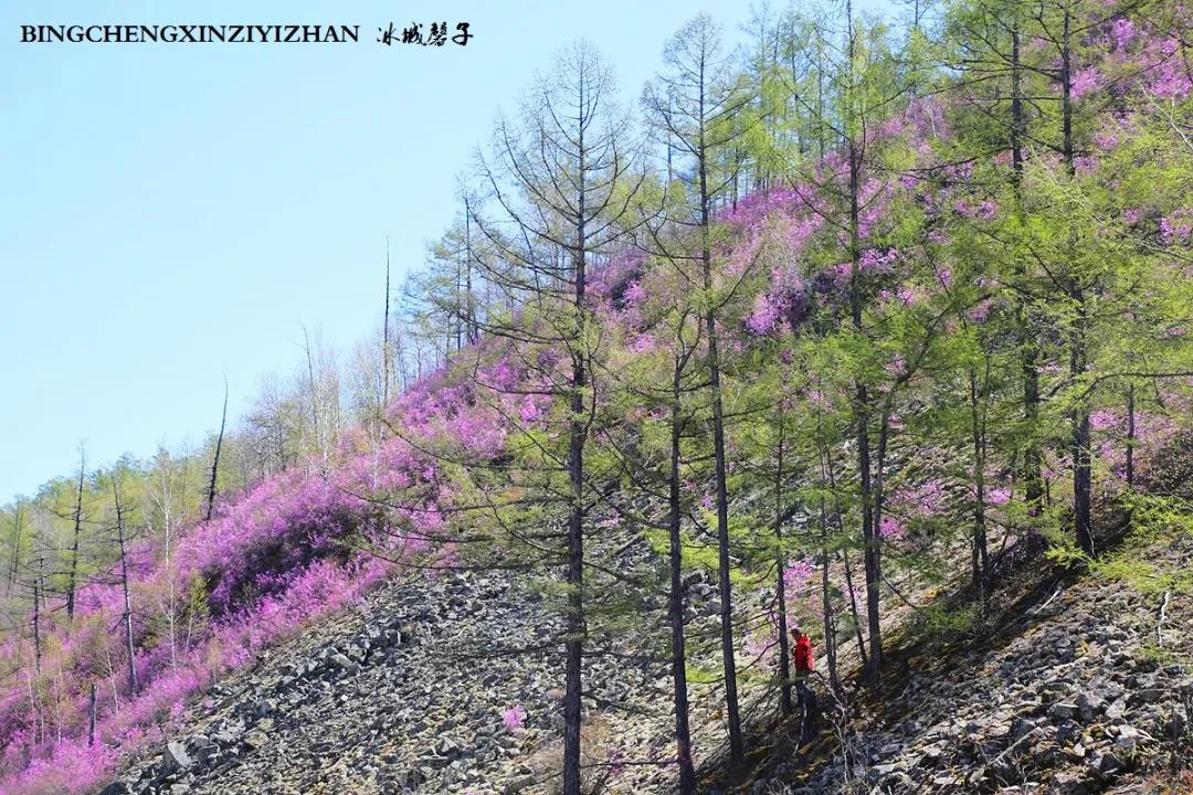 寻找中国最美的春季,探寻中国最美秘境