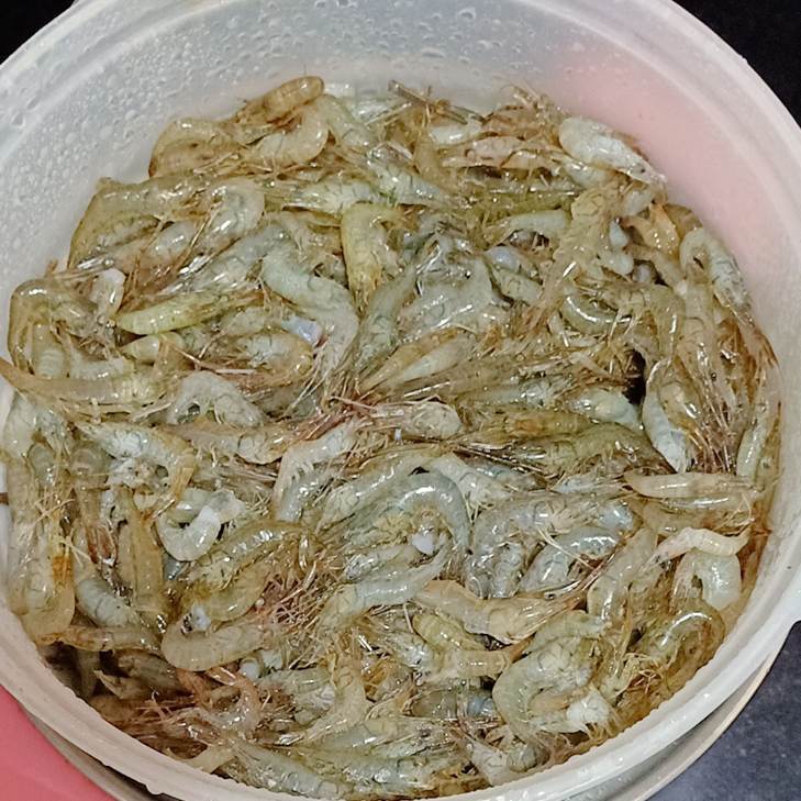 小河虾怎么炸又酥又脆配洋葱,小河虾怎么炸又酥又脆不回软