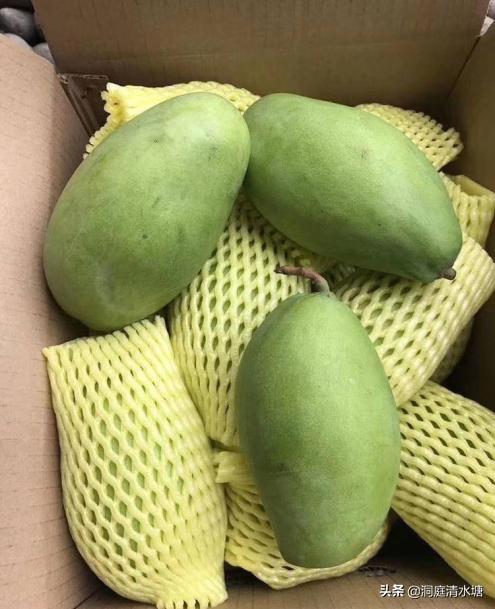 q弹香甜的芒果西米露,爽口脆甜芒果