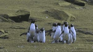 适合新手的100幅画速写,人物速写人体结构新手入门