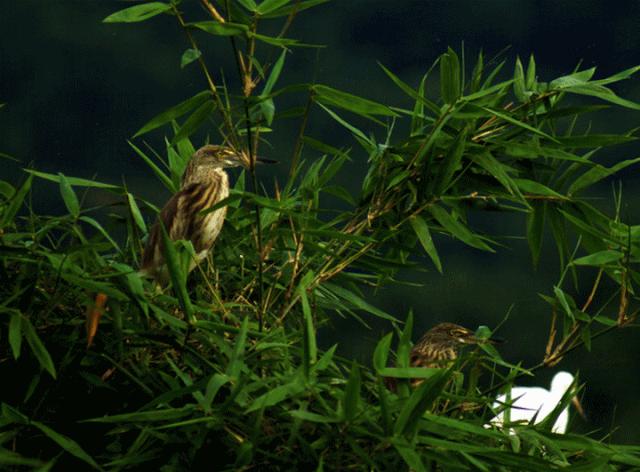 住进山林秘境泡私家汤池,住进风景里享受原生态乡村生活