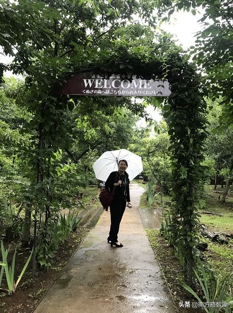 日本知名小微企业,日本小微企业发展之道