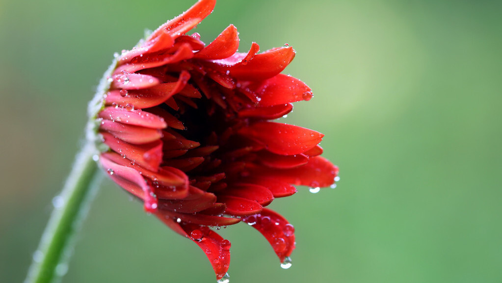 有关24节气雨水的古诗初春小雨,关于雨水节气的古诗大全10首
