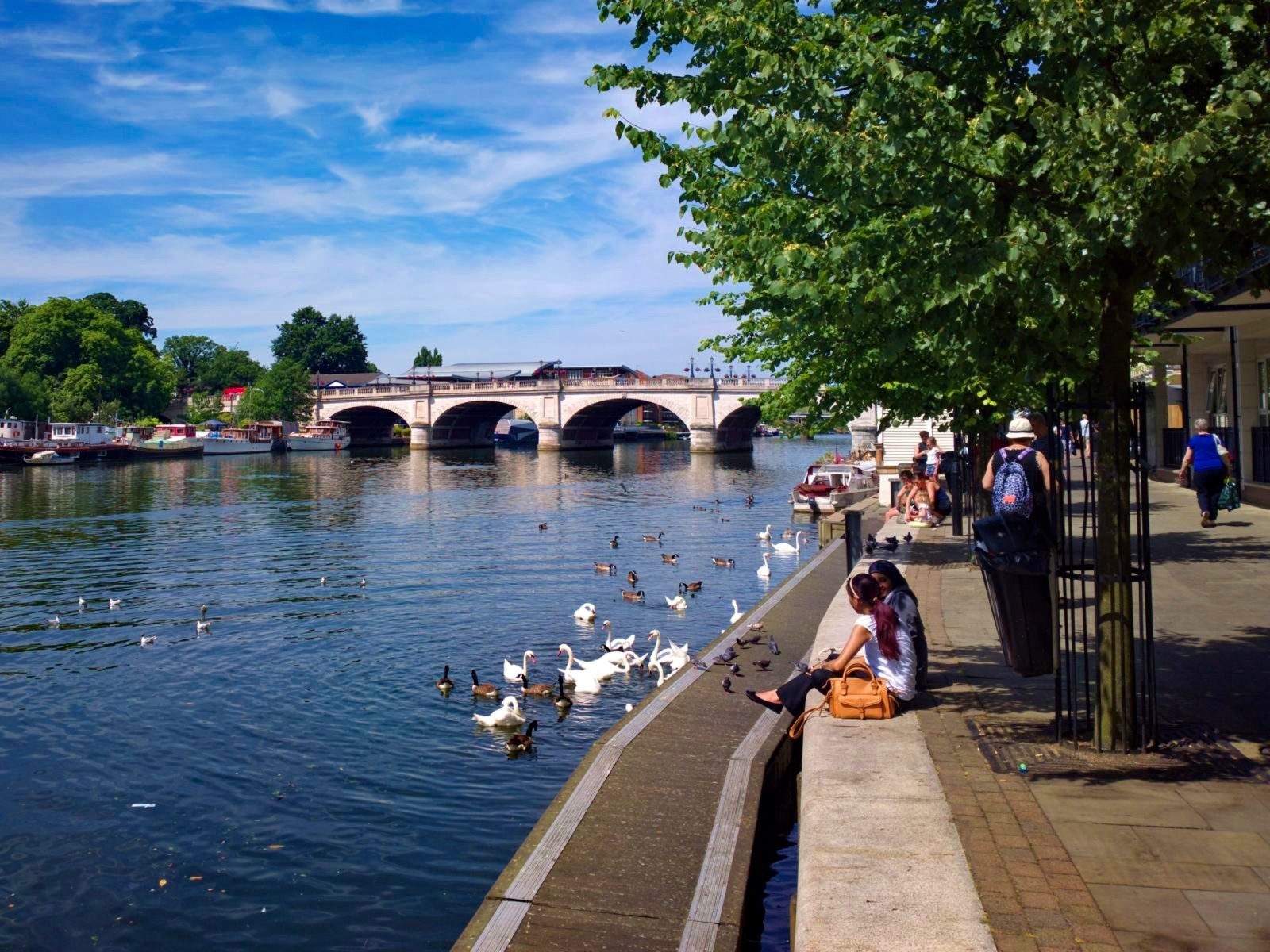 澳大利亚金斯顿学院,金斯顿大学在哪