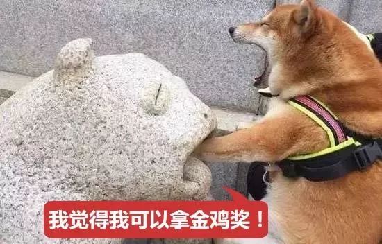 论起亲戚间的年礼，那个个都是”戏精“