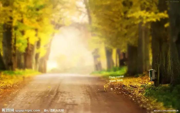 问问自己真的快乐吗图片文字,问问自己你快乐了吗