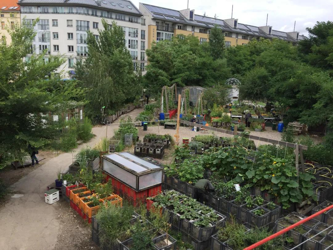 农庄餐饮怎么经营赚钱,怎么经营农家乐卖菜生意