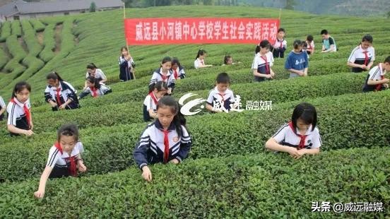 威远县少年宫,内江威远少年宫