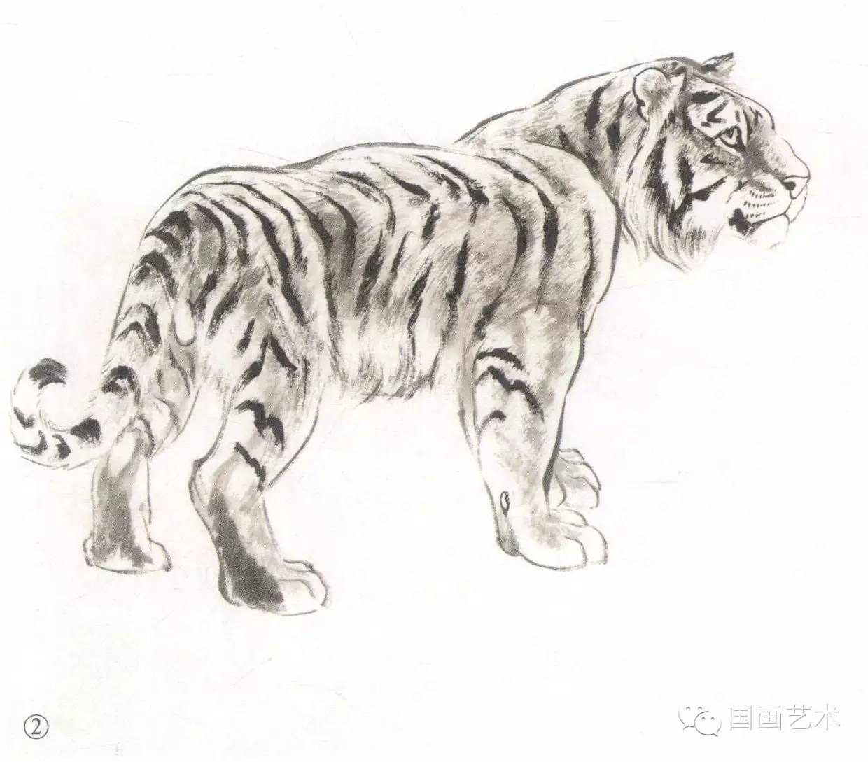 写意画虎教程,写意虎的十种方法