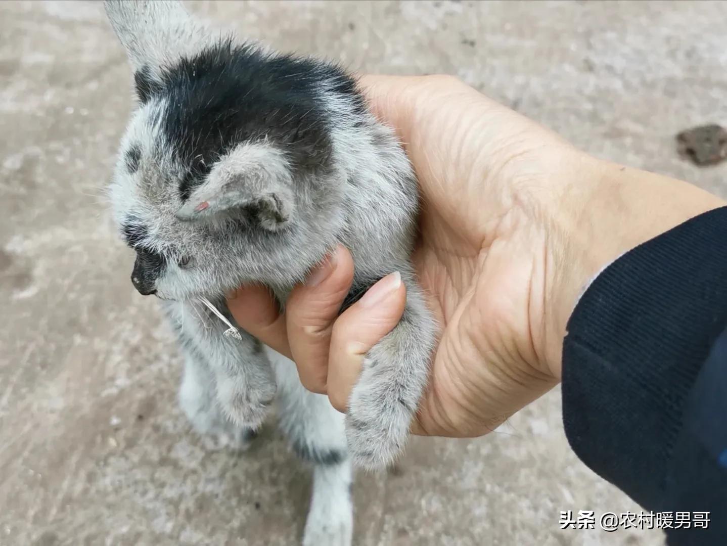 带大家一起走进乡村生活,农村生活带你体验