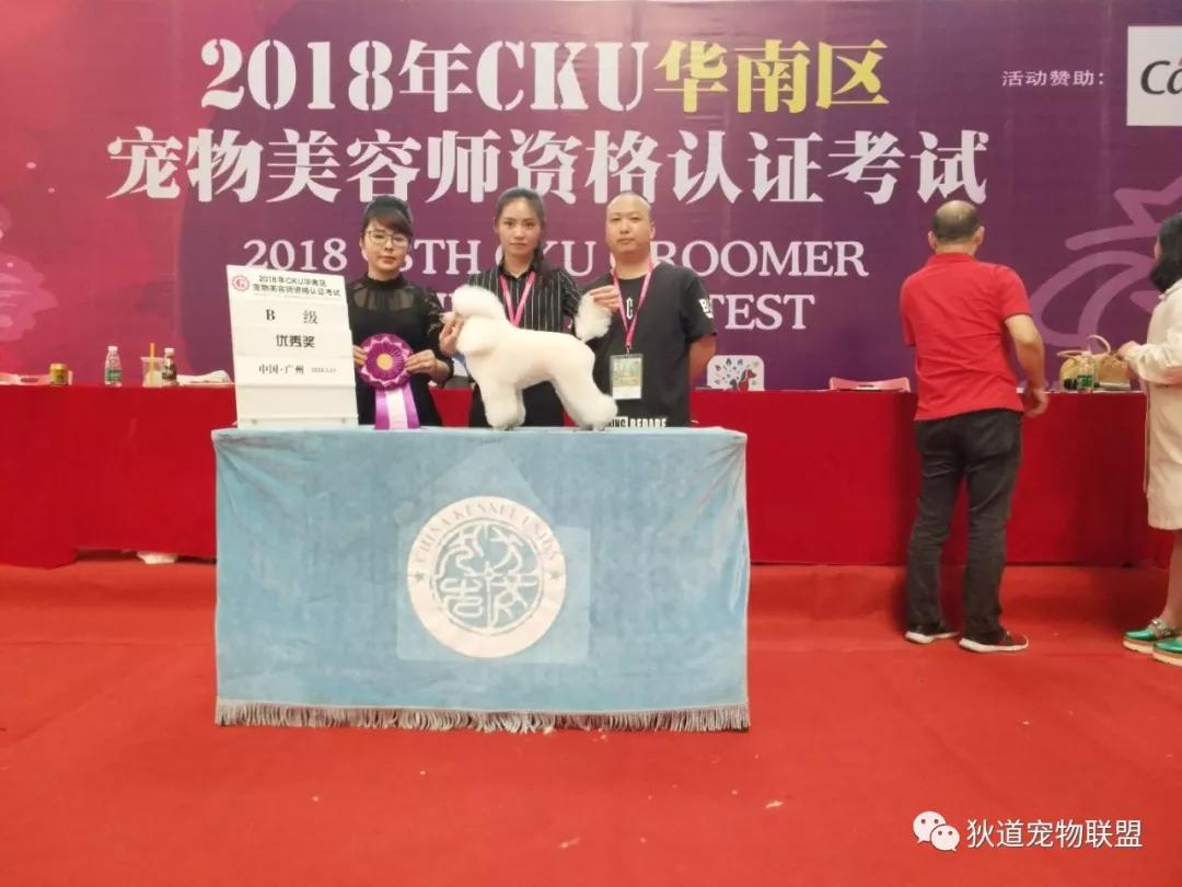 深圳口碑最好的成人教育培训机构,深圳十大成人教育培训机构排名榜