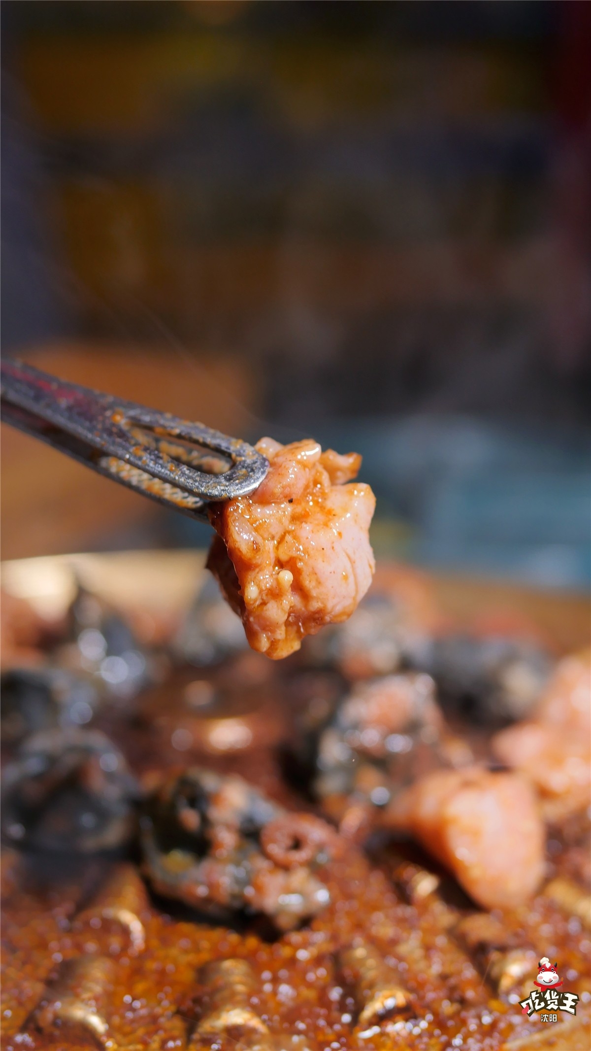 小猪小牛单品,小猪小牛邯郸新世纪店