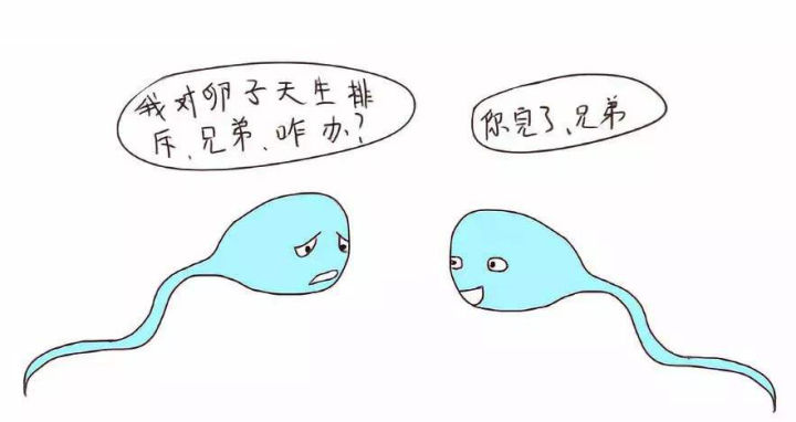 前任多了会不孕？做个检查就能知道你有几个前任