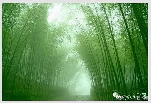 人人图文,人人贷最新事件进展