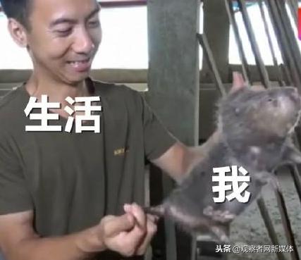 鍗庡啘鍏勫紵鍙嬫儏,鍗庡啘鍏勫紵娌宠竟