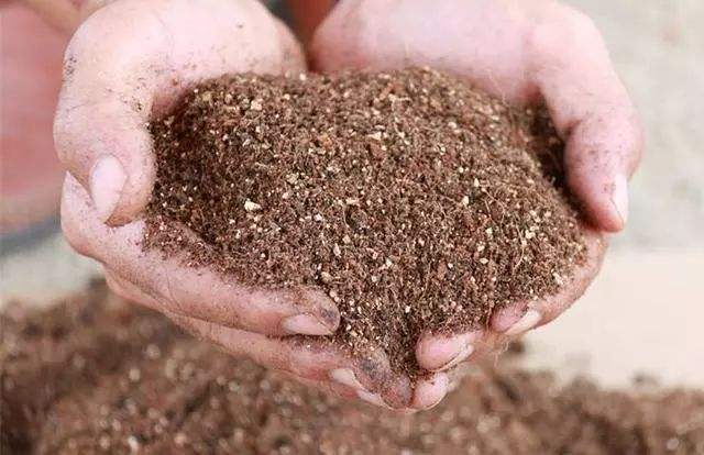 花卉养的土特别硬怎么回事,种植物的土太硬怎么回事