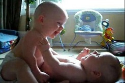 每天十条冷知识第61讲,狗不能吃海带?