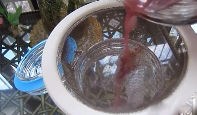 自制葡萄酒正确方法与详细步骤,自制野生葡萄酒的制作方法与步骤