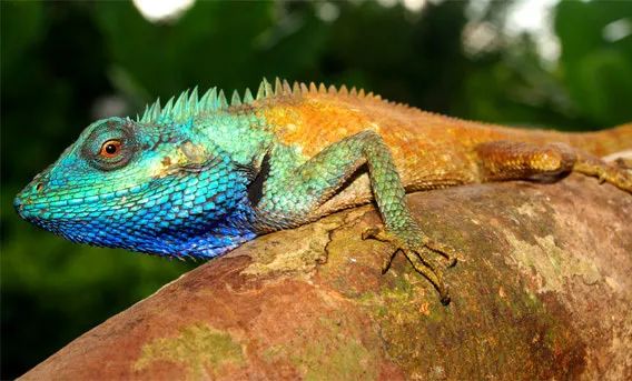 它是蓝颜祸水还是蓝颜薄命,都与你我有关