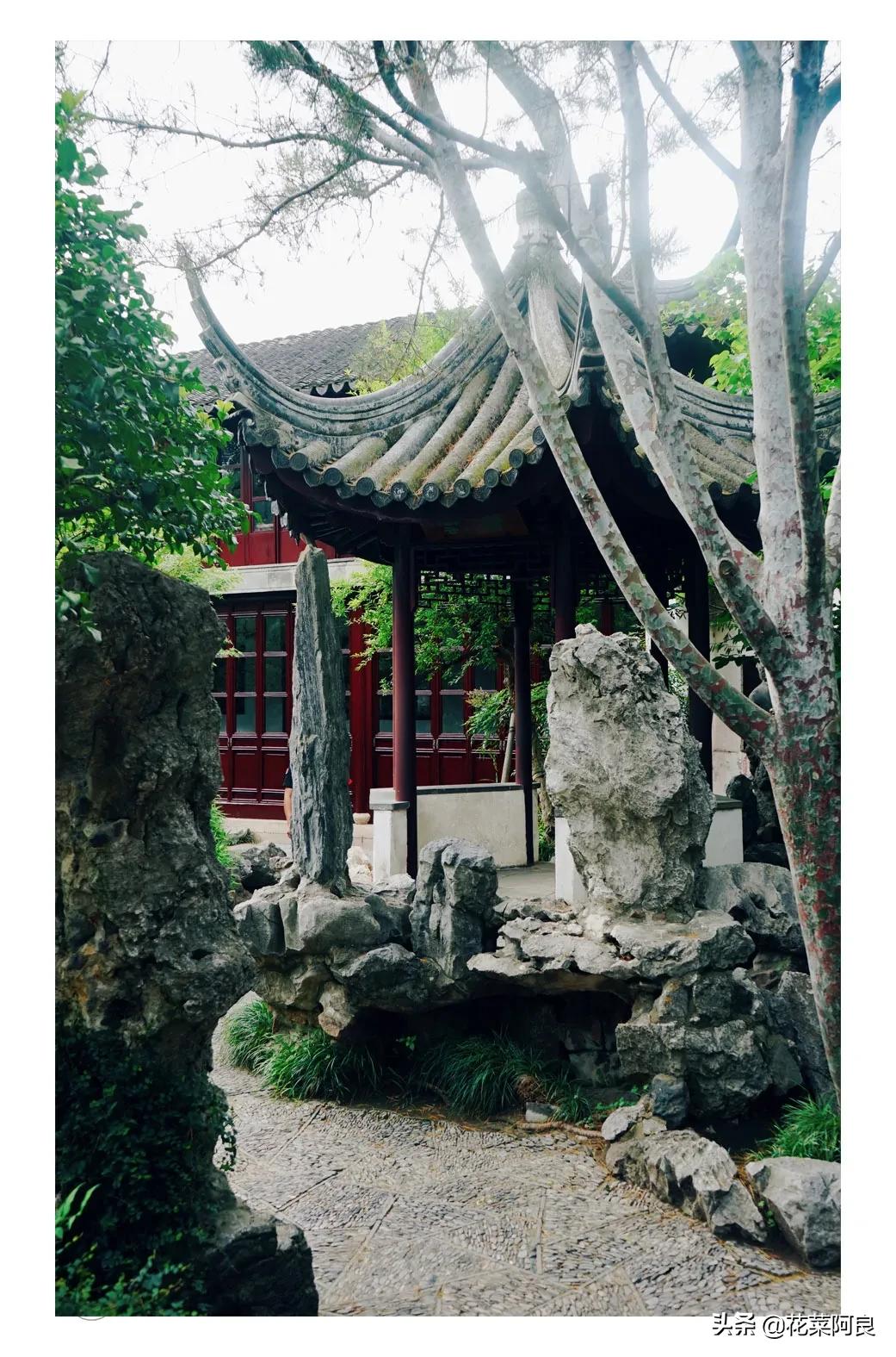 留园拙政园哪个景色好,留园和拙政园