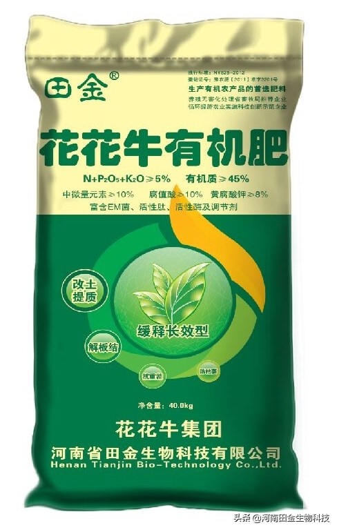 商麦1号选育报告