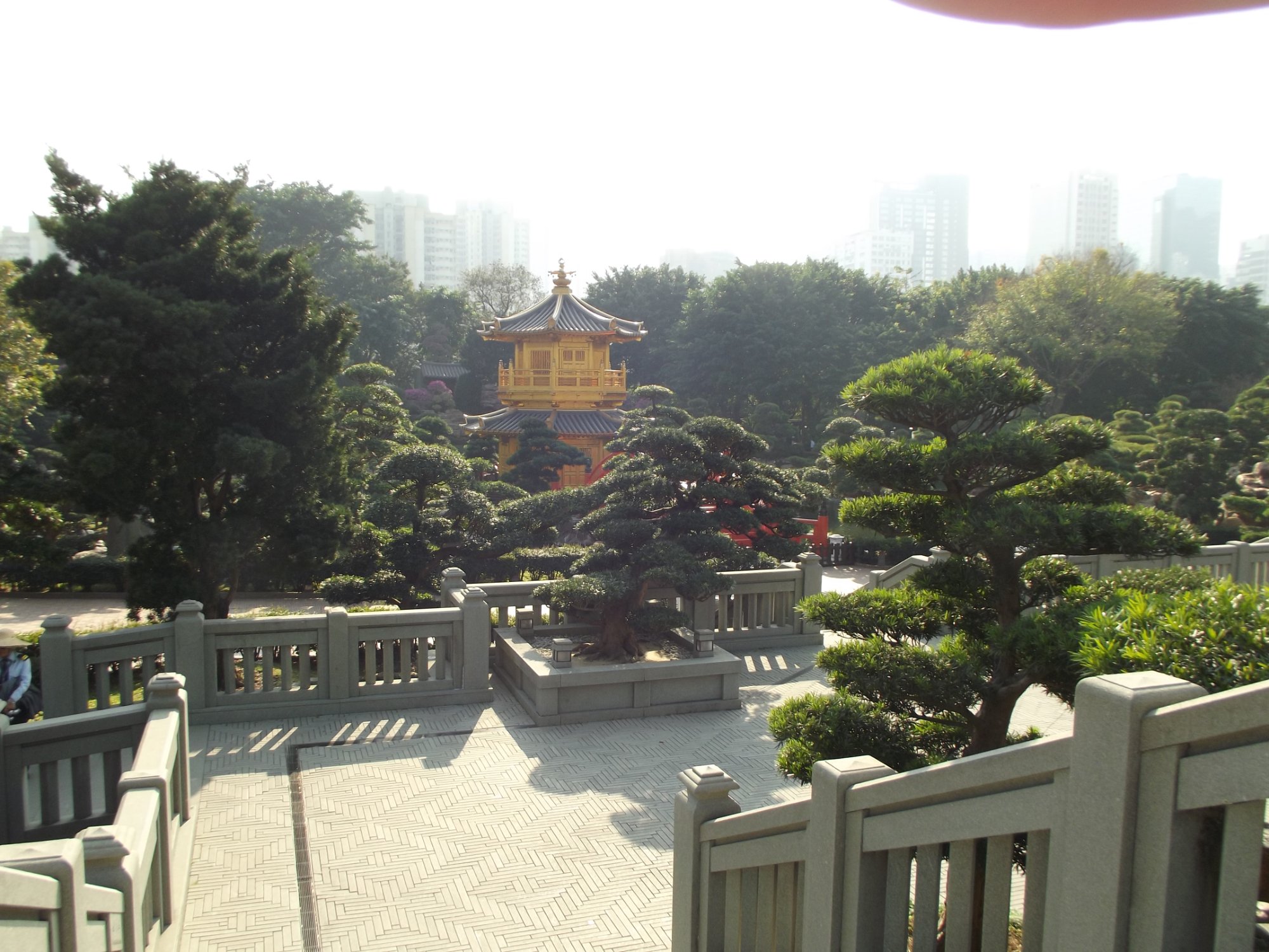 香港志莲净苑地图,香港志莲净苑好玩吗