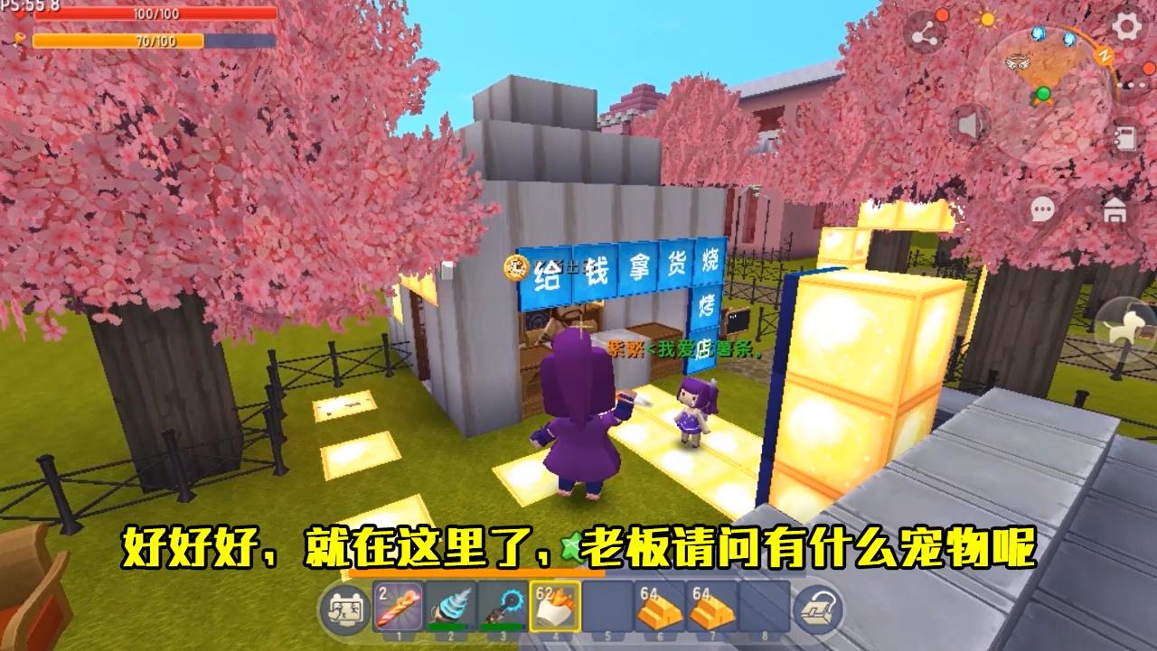 迷你世界狗蛋去游乐场,迷你世界带着小狗狗挖矿洞