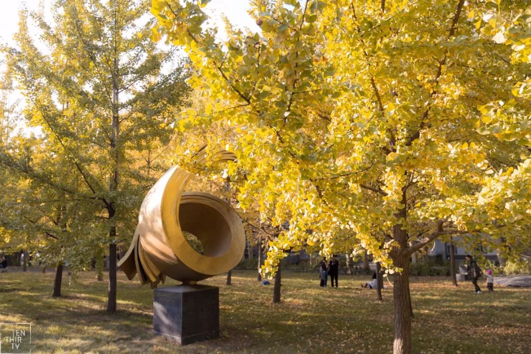 武汉是世界面积最大的一个市,武汉面积最大的小区