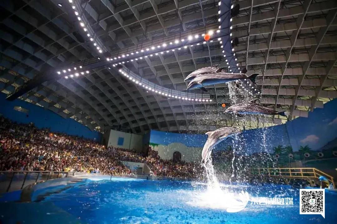 济南将军路,武汉将军路