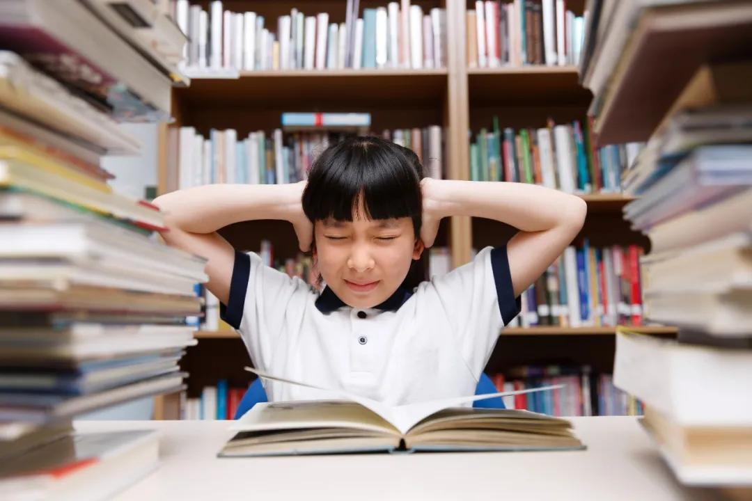 学大专访,学大教育ceo金鑫