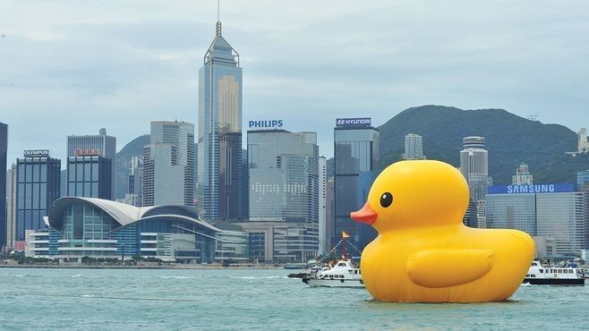 萌宠上阵，整个空间都奇趣了！