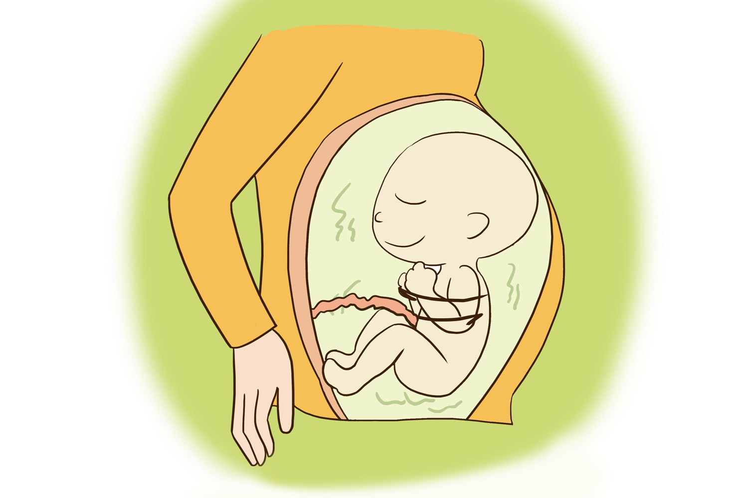 胎儿7活8不活的说法,胎儿七活八不活是怎么回事