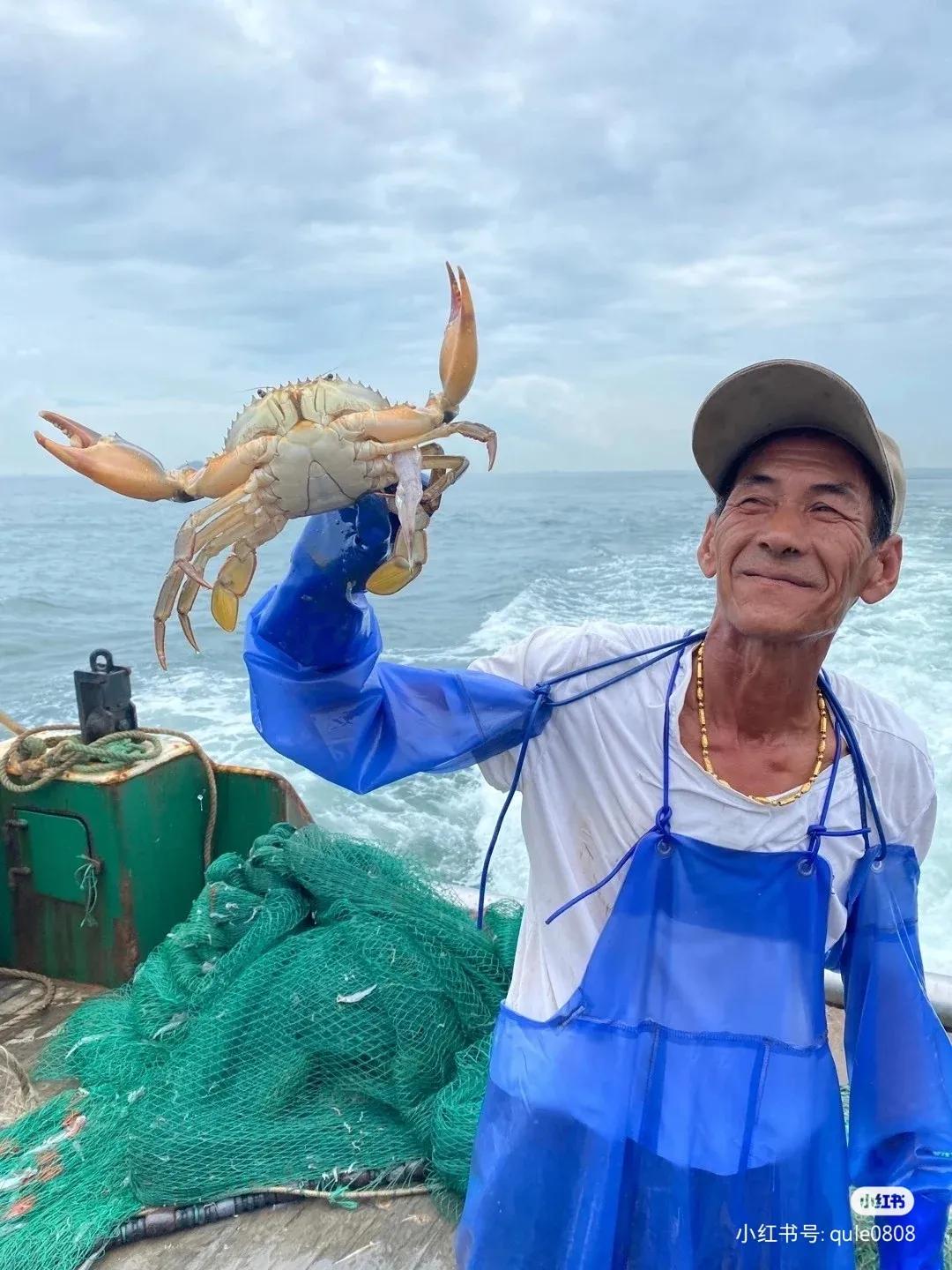 枸杞岛东方小希腊素材,被称东方小希腊风光无限的枸杞岛