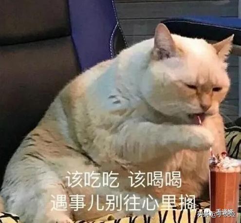 和好基友玩的生存手游推荐,和朋友联机的生存游戏手游