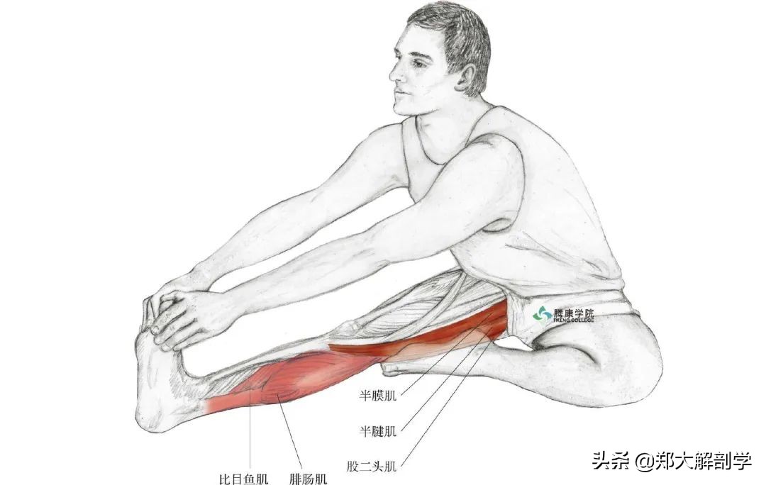老年人蹲不下怎样锻炼,老年人蹲不下去了怎么办