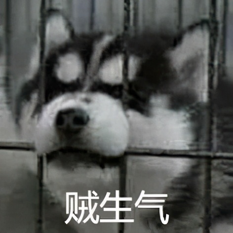 狗吃了毒香肠多久发作,狗误食毒香肠