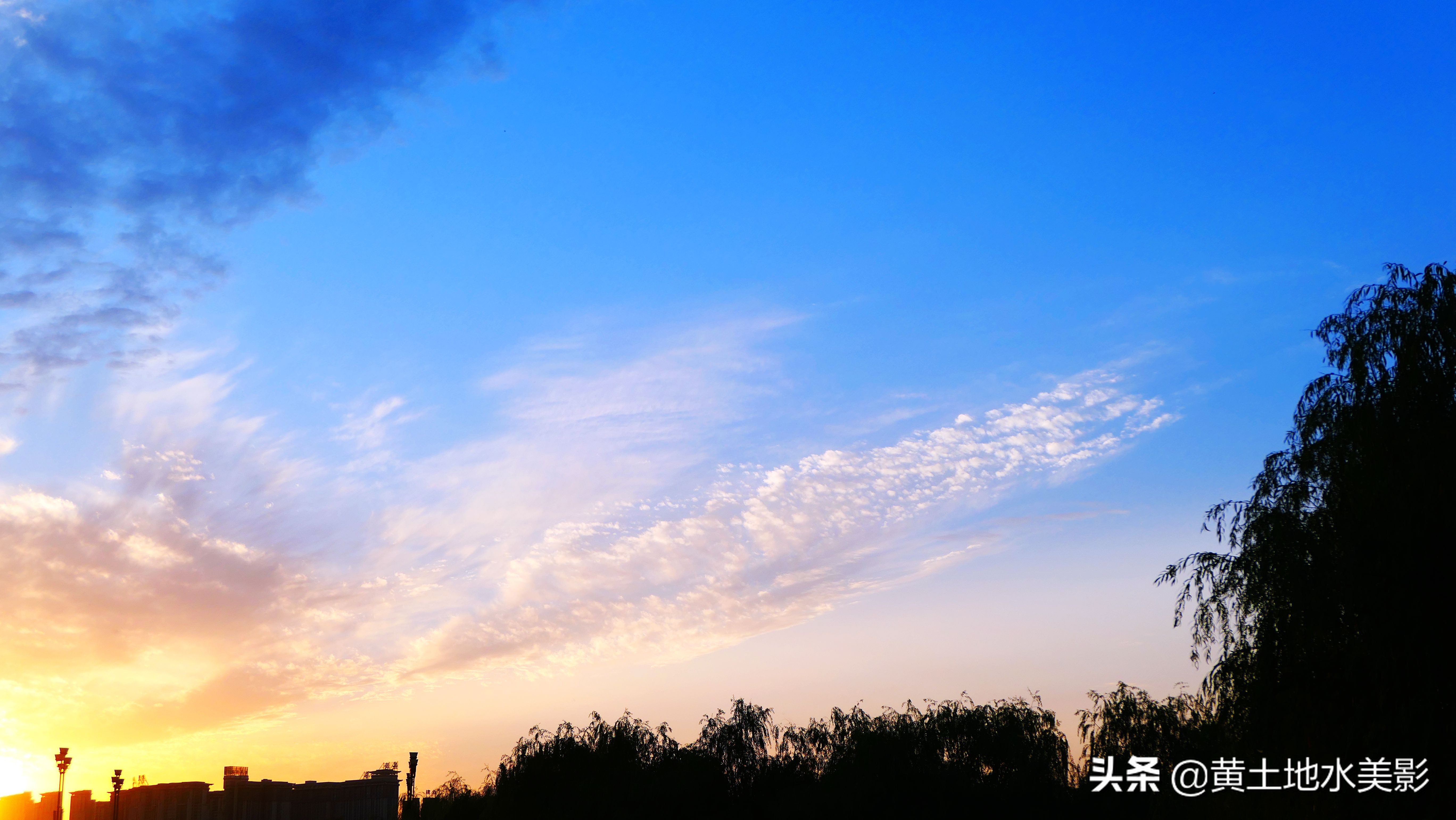 免费游玩东湖公园攻略,免费湿地公园游乐景点