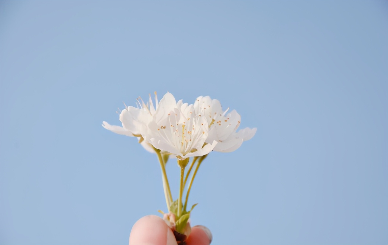 想不动声色地吸引异性,如何不动声色吸引前任