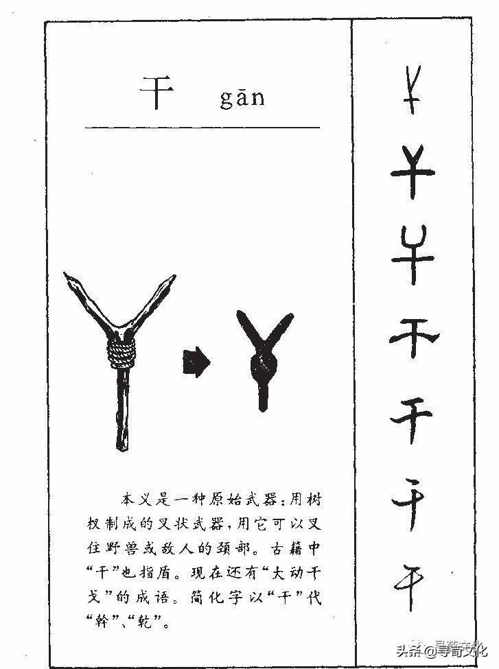 荀卿庠,中国有姓干的姓氏