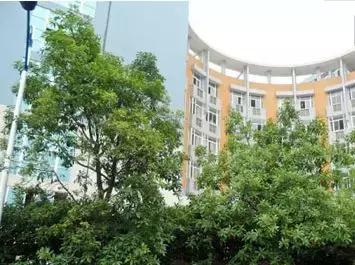 重庆十大小学解析，让你不因学区房而维权！