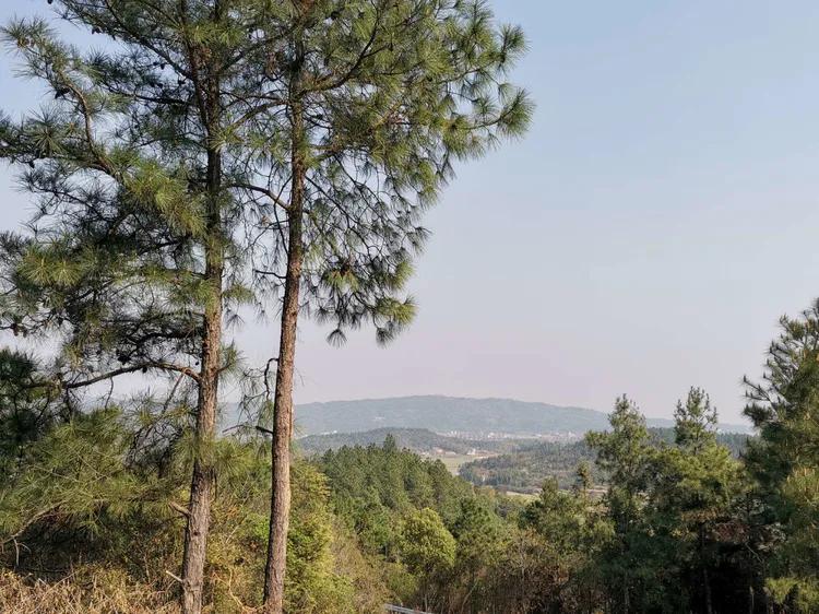 华容山水苑别墅100万,华容秀丽山水风景区