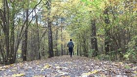 中央电视台才貌双全的美女主持人,新晋央视女主持