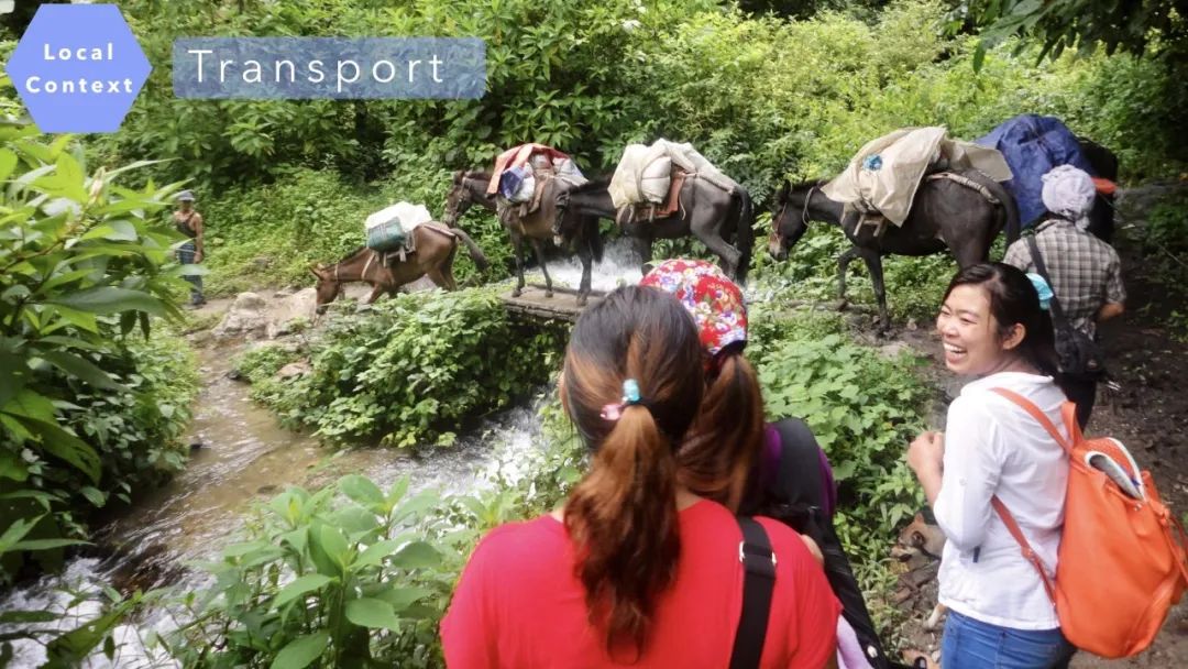 张军检查防疫,张军防疫