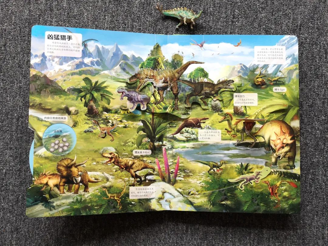 适合孩子看的恐龙科普书,适合5岁孩子看的恐龙科普书