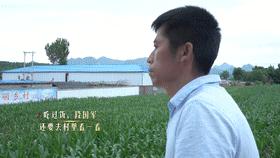 走向我们的小康社会,脱贫致富的小康生活