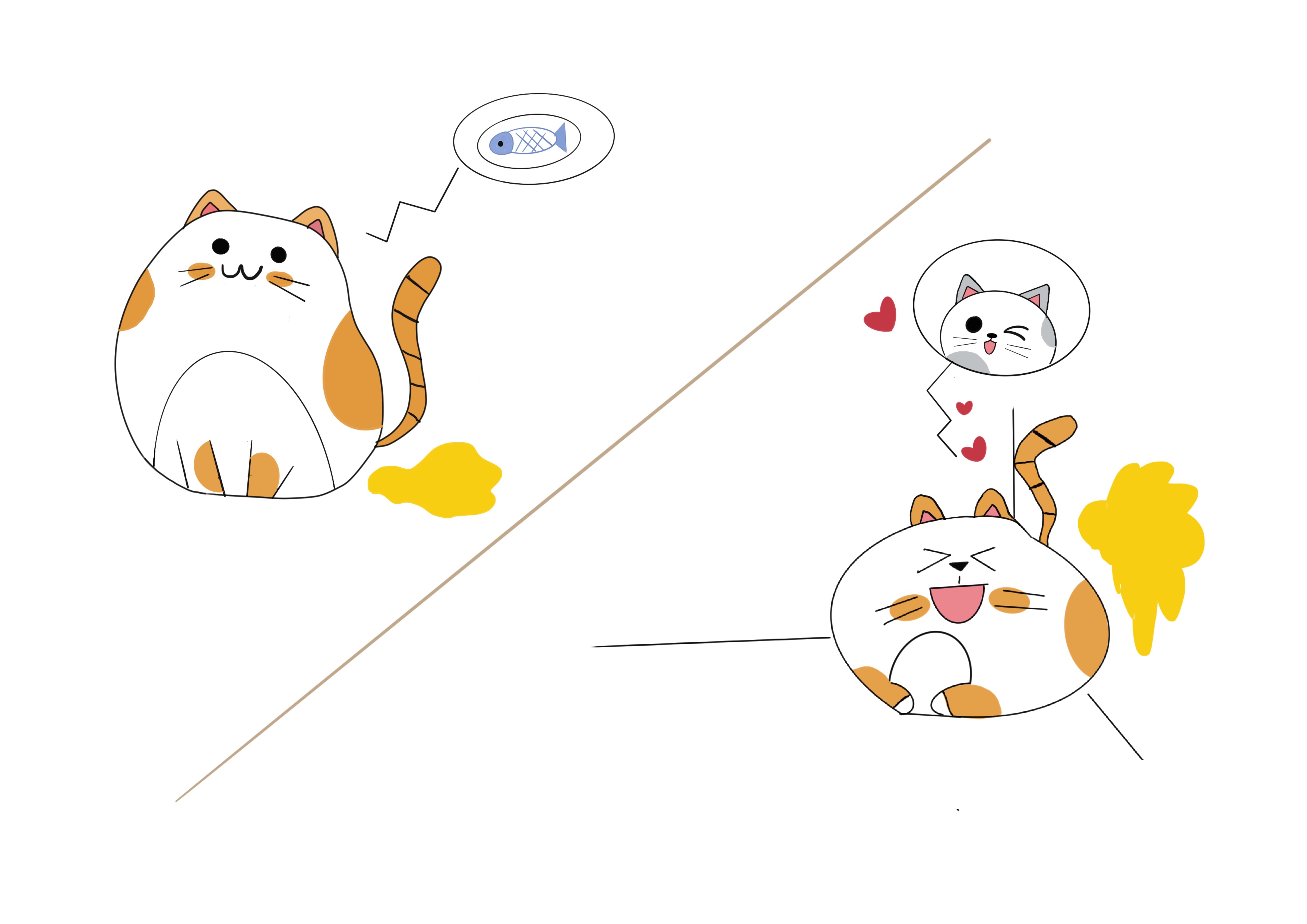 萌宠指南猫乱拉乱尿如何纠正,铲屎官猫屎尿怎么处理