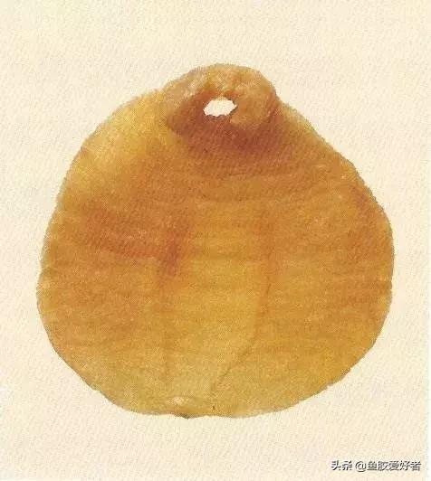 哪种鱼胶最好7种鱼胶的分类,鱼胶知识与食用方法