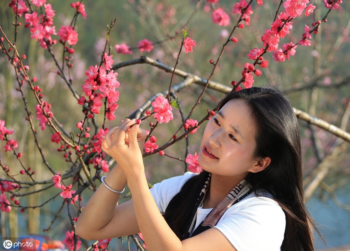 古诗中刘郎是指谁,刘郎阮郎萧郎檀郎各代表何意