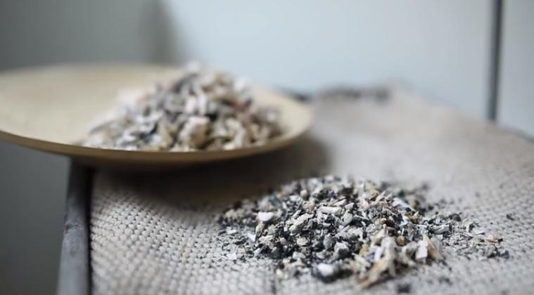 为去世的宠物进行殡葬仪式，是否真的有意义？宠物也需要尊严